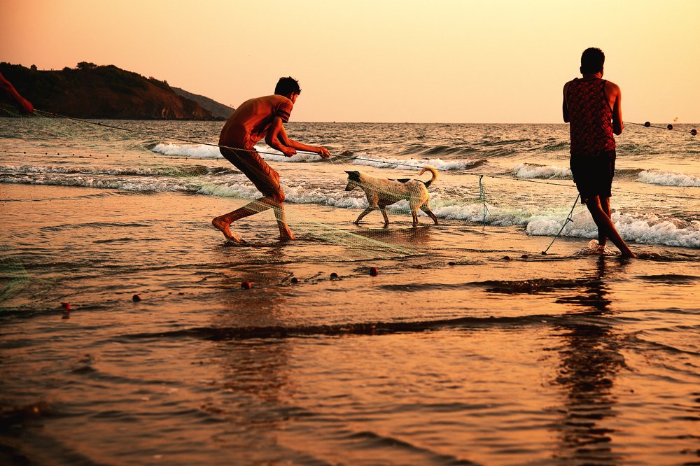 Photograph by Lara Noel