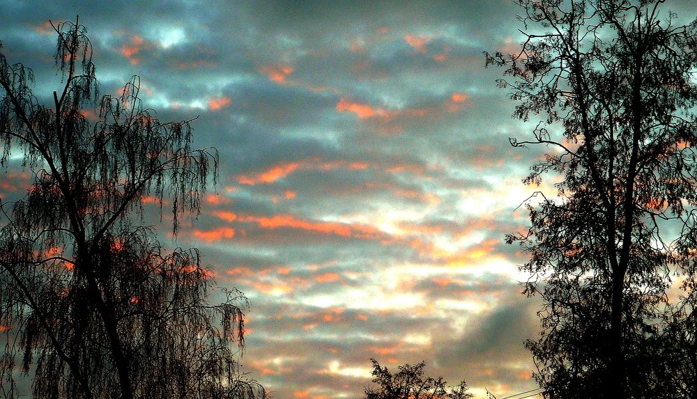 Photograph by леонид натапов