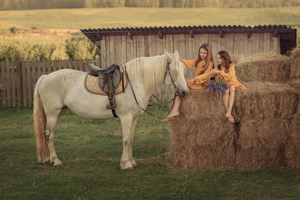 Летний вечер