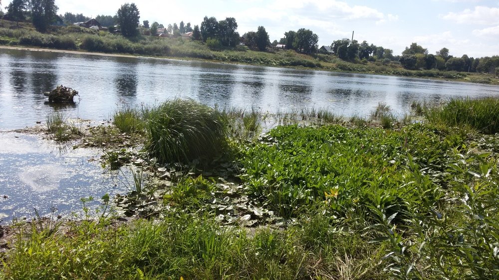 Photo #3372920