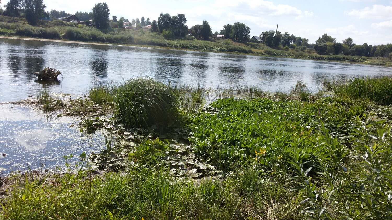 Photo #3372920