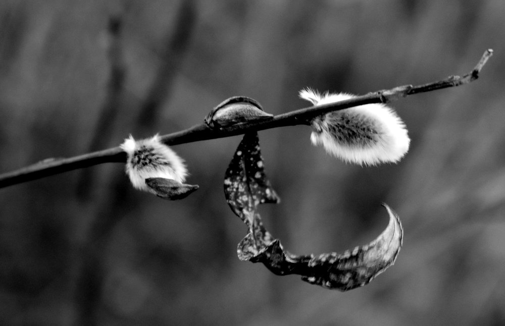 Verbaling mood / Вербальное настроение