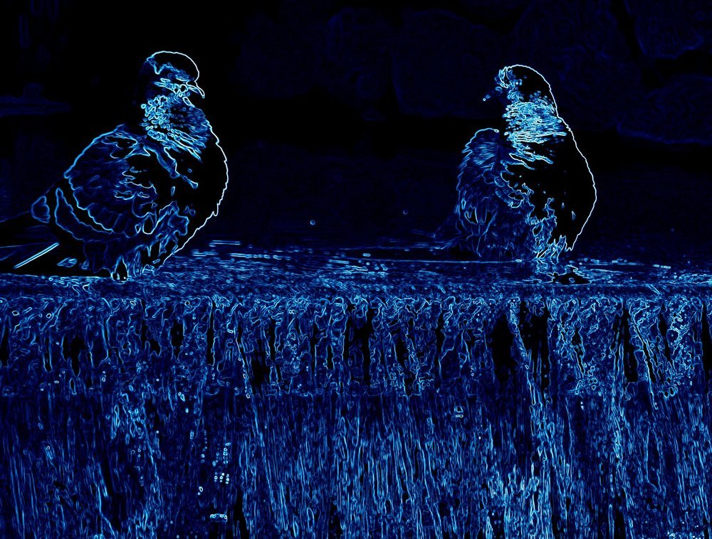 Pigeons in the fountain jets / Голуби в струях фонтана