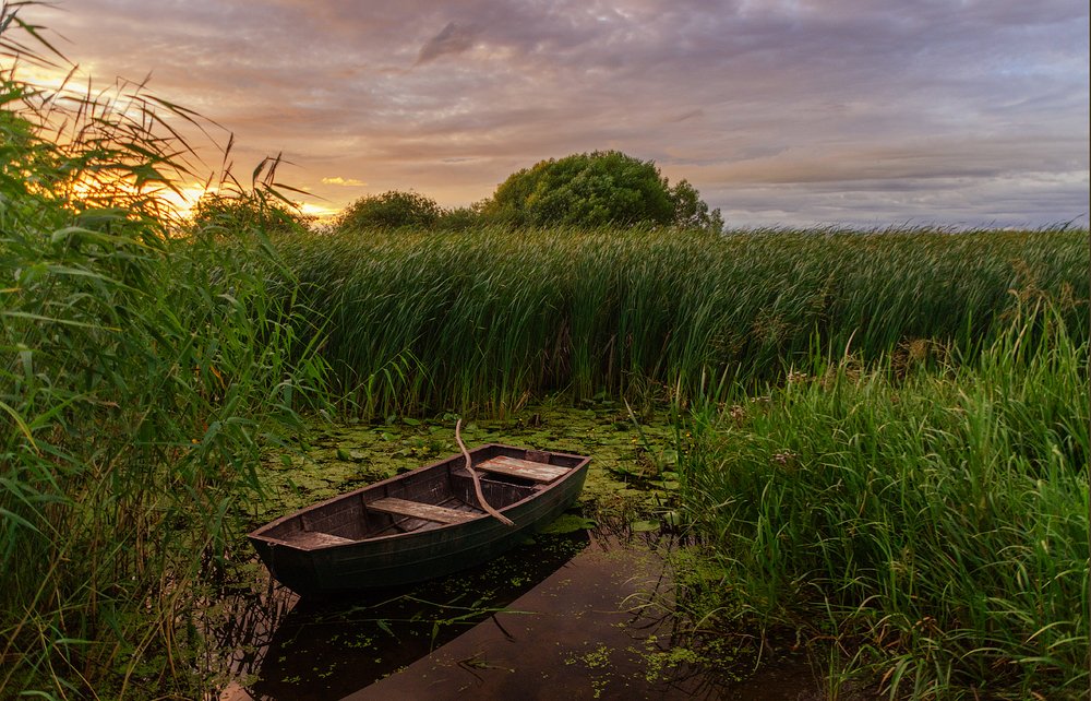 Летний вечер.