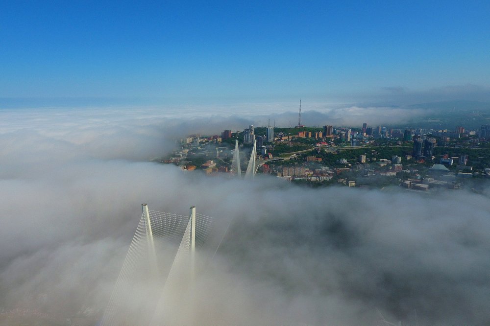 Солнечный берег