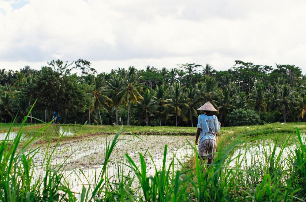 Photograph by Анатолий Щербаков