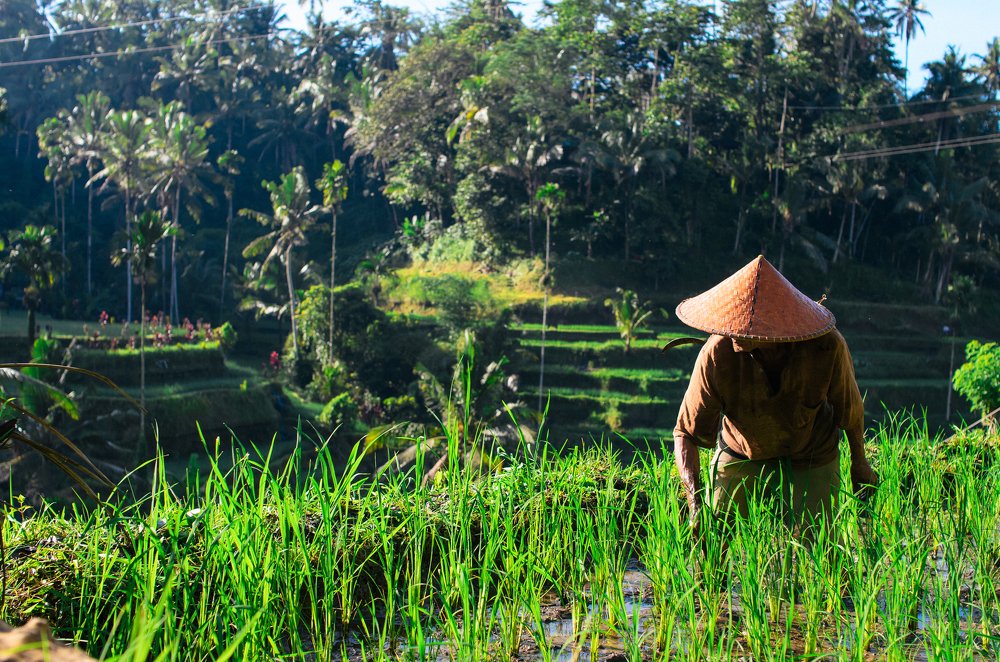 Photograph by Анатолий Щербаков