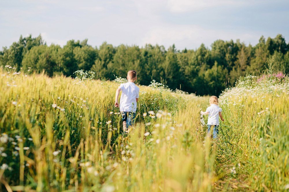 Хорошо в деревне летом