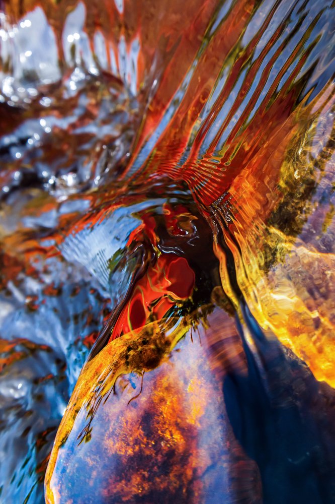 Огненный петух