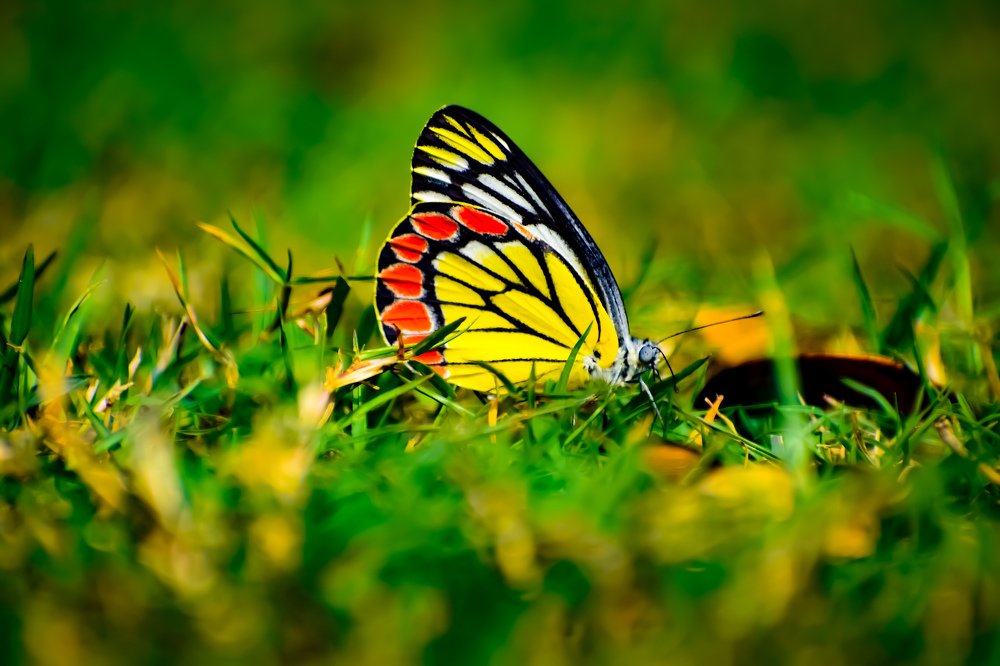 We struggle to bring our new life