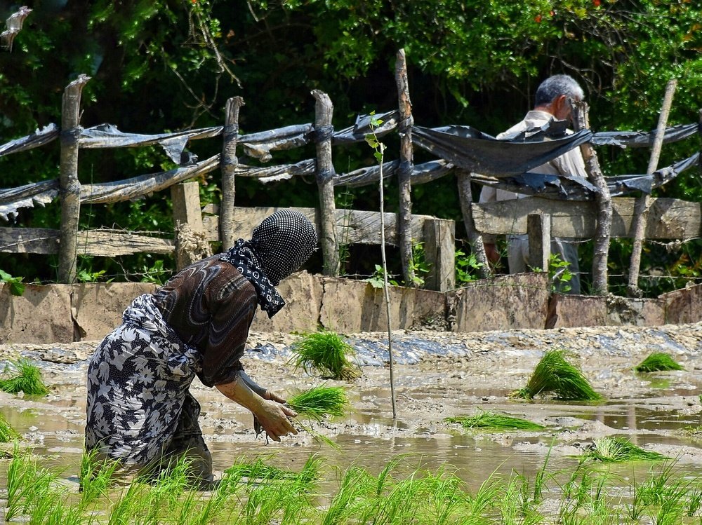 Photograph by seyyed mohammad andy