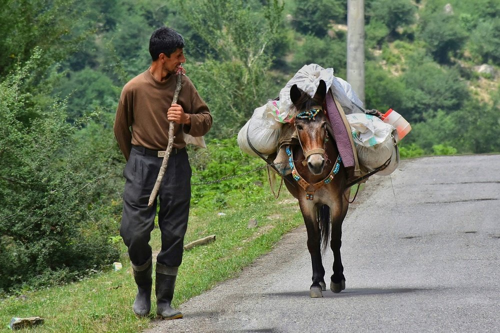 Photograph by seyyed mohammad andy