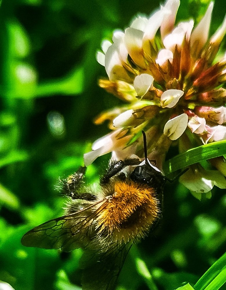 Photograph by Татьяна Чернышова