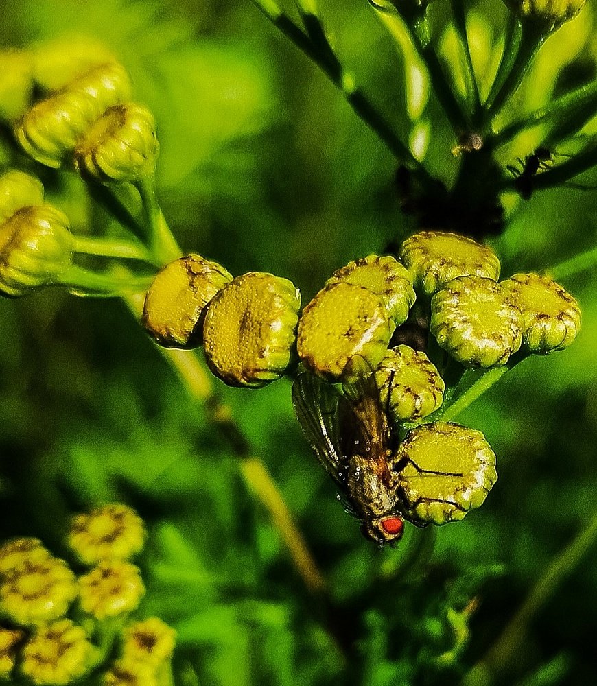 Photograph by Татьяна Чернышова