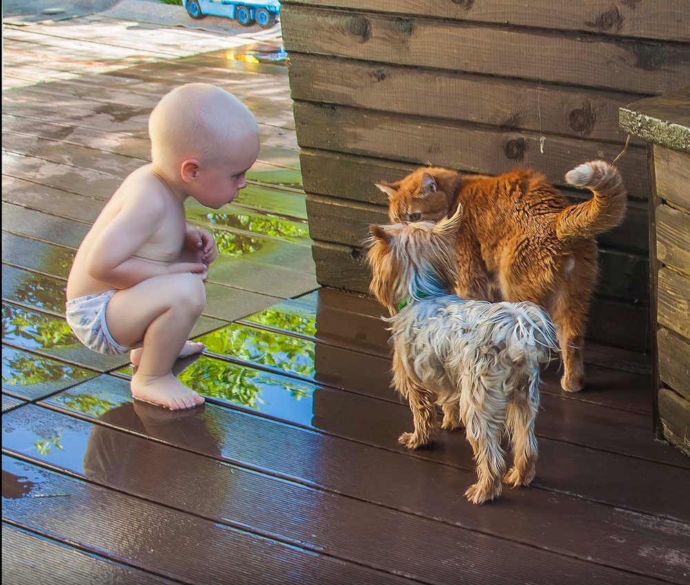 Photograph by Михаил Строев