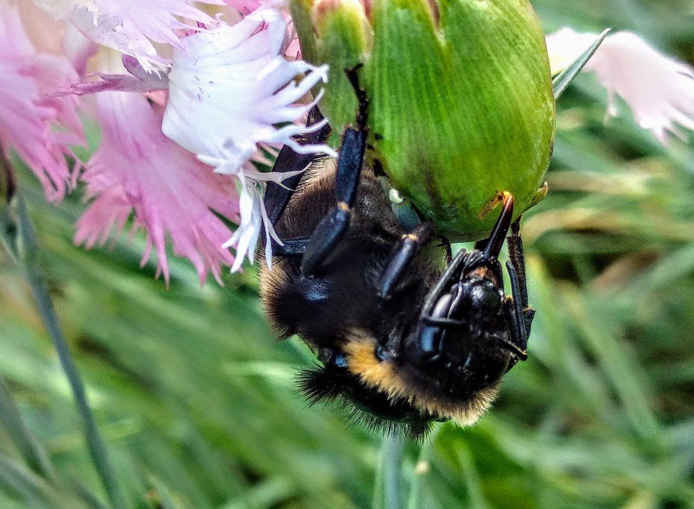 Photograph by Татьяна