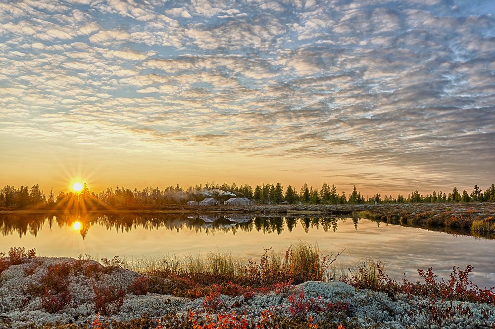 Закат в лесотундре