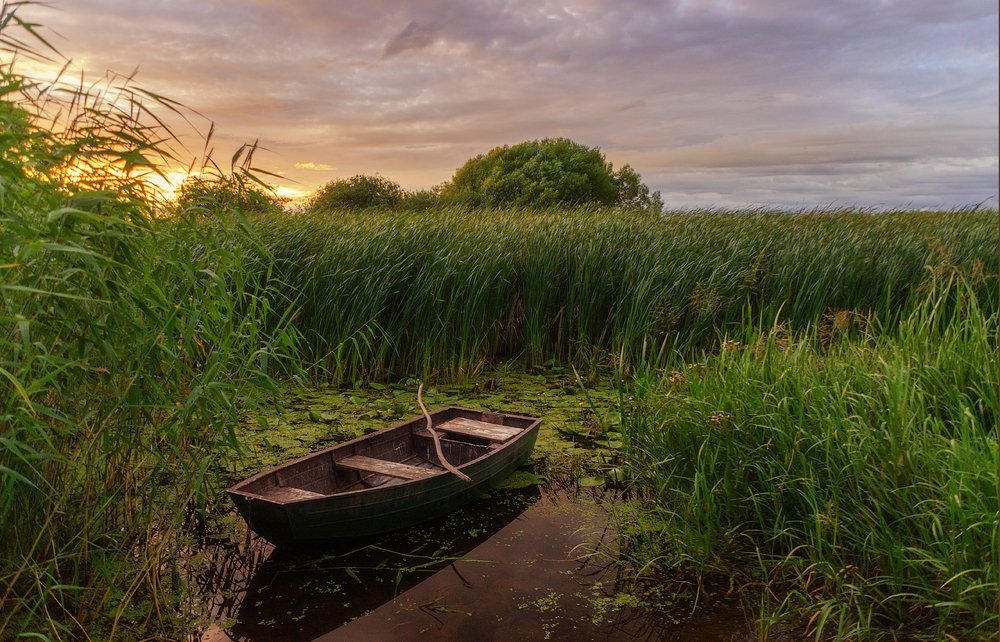 Фотография автора Майя Афзаал