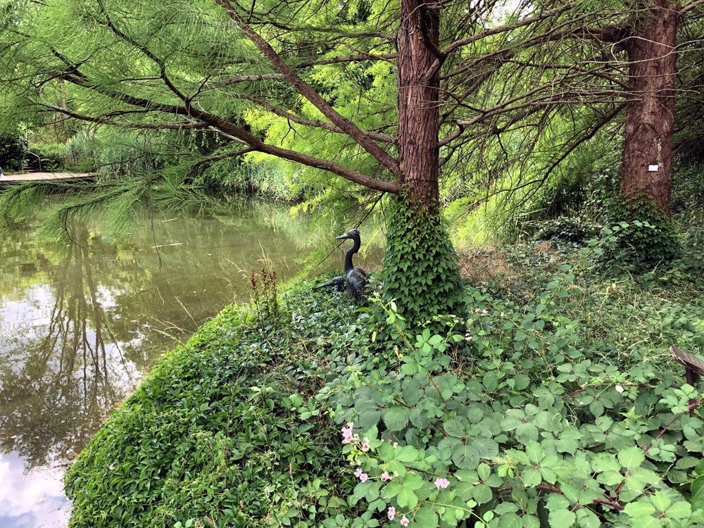 Ботанический сад. Оснабрюк. Германия