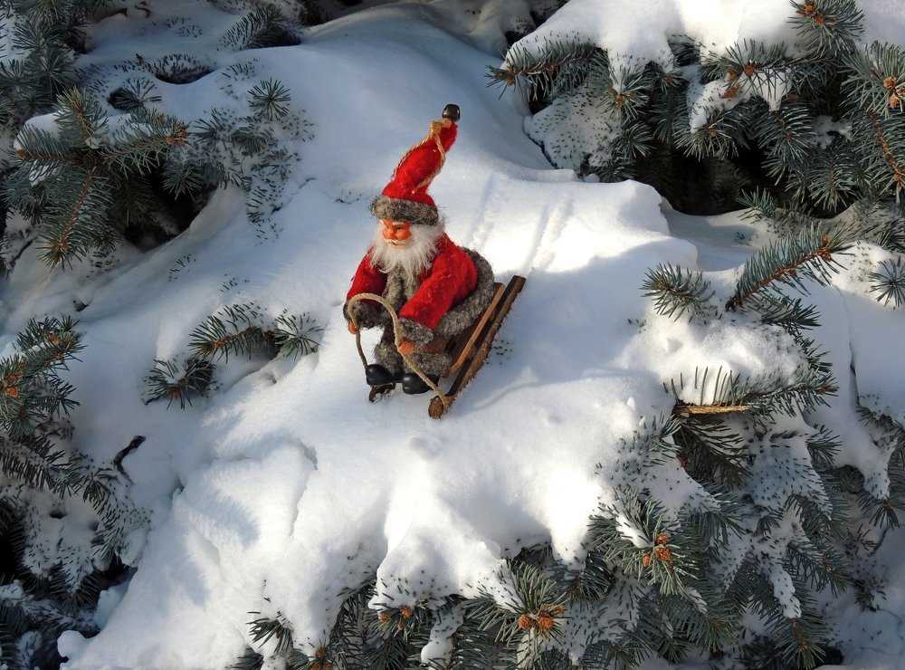 Новый год к нам мчится