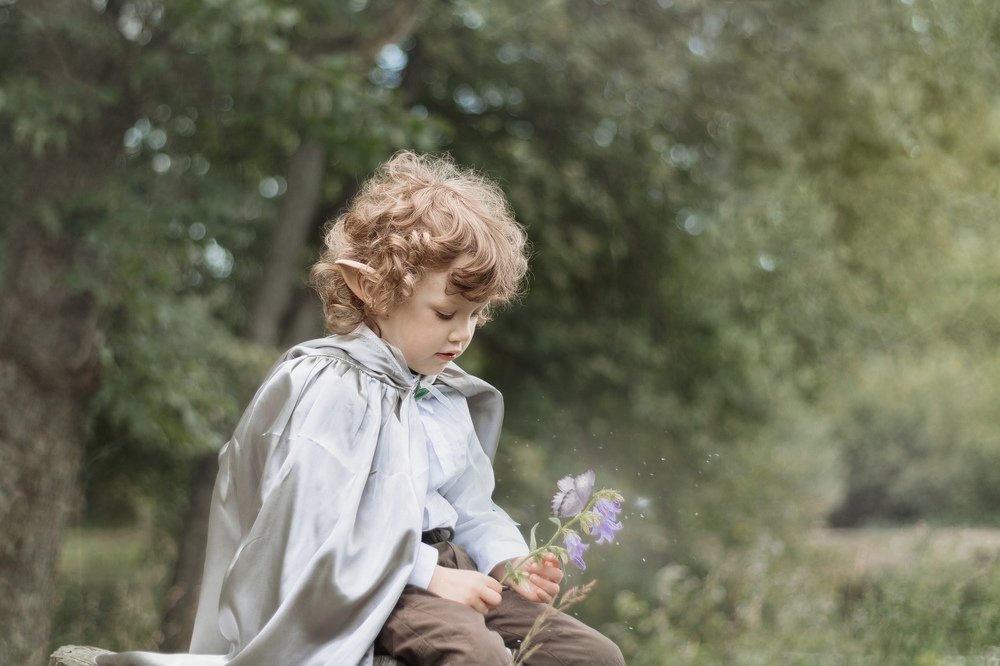 "Маленький эльф"