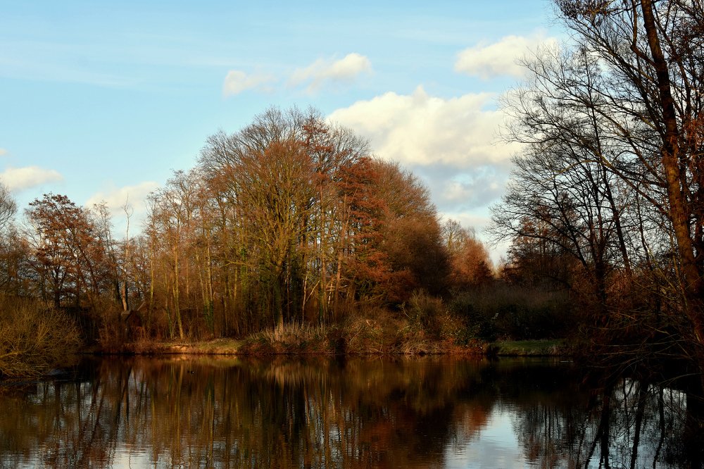 Последние лучи заходящего солца.