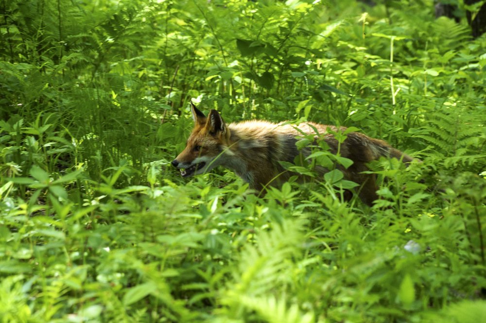 Photograph by Лилия Гиндулина