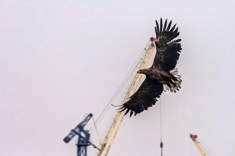 Photograph by Лилия Гиндулина