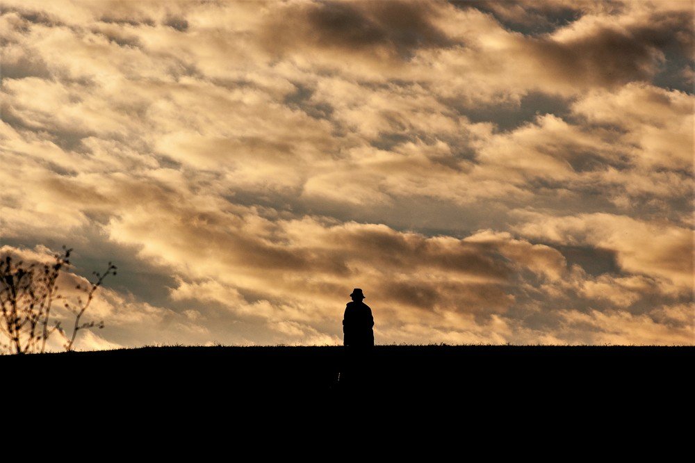 A minimalist shepherd