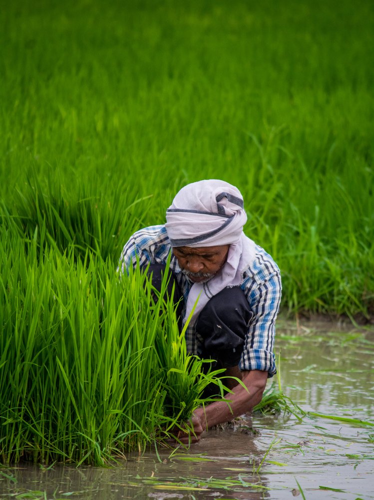 Lifeline of India