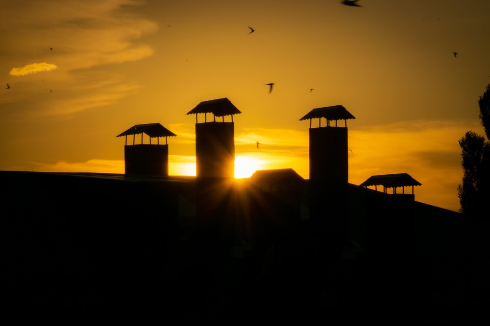 Закатившийся янтарь