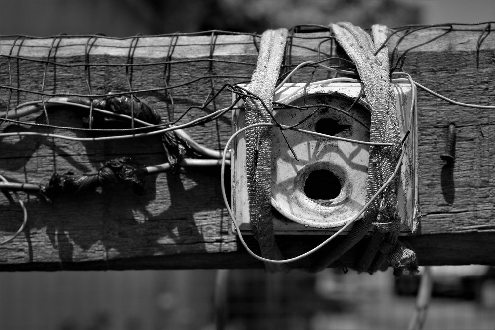 vie temporaire