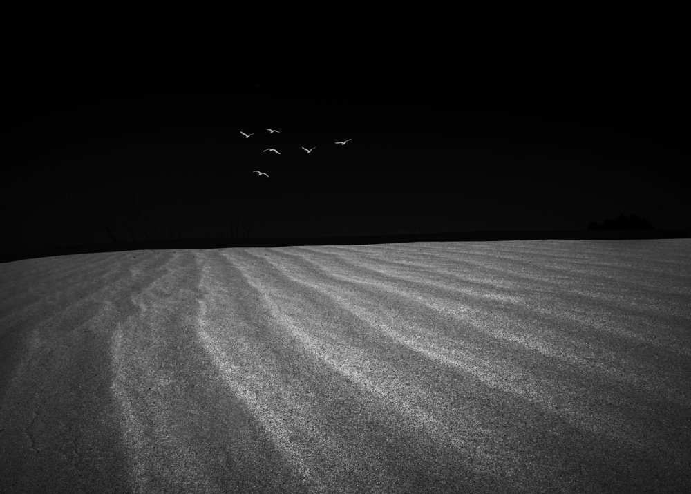 По ту сторону...