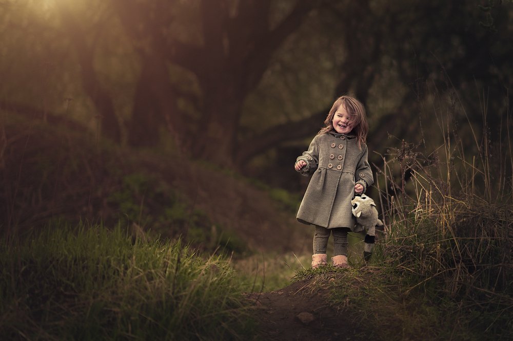 Лесная сказка