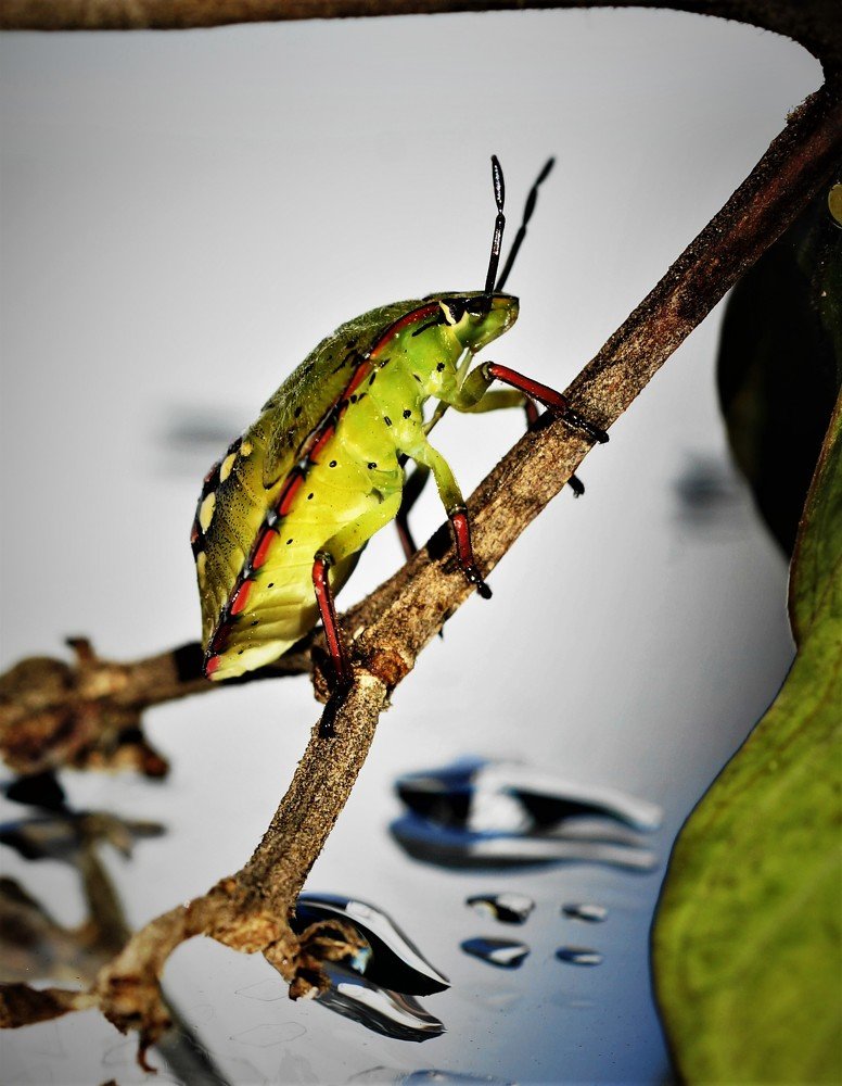 Photograph by Karina Elena Bergagna