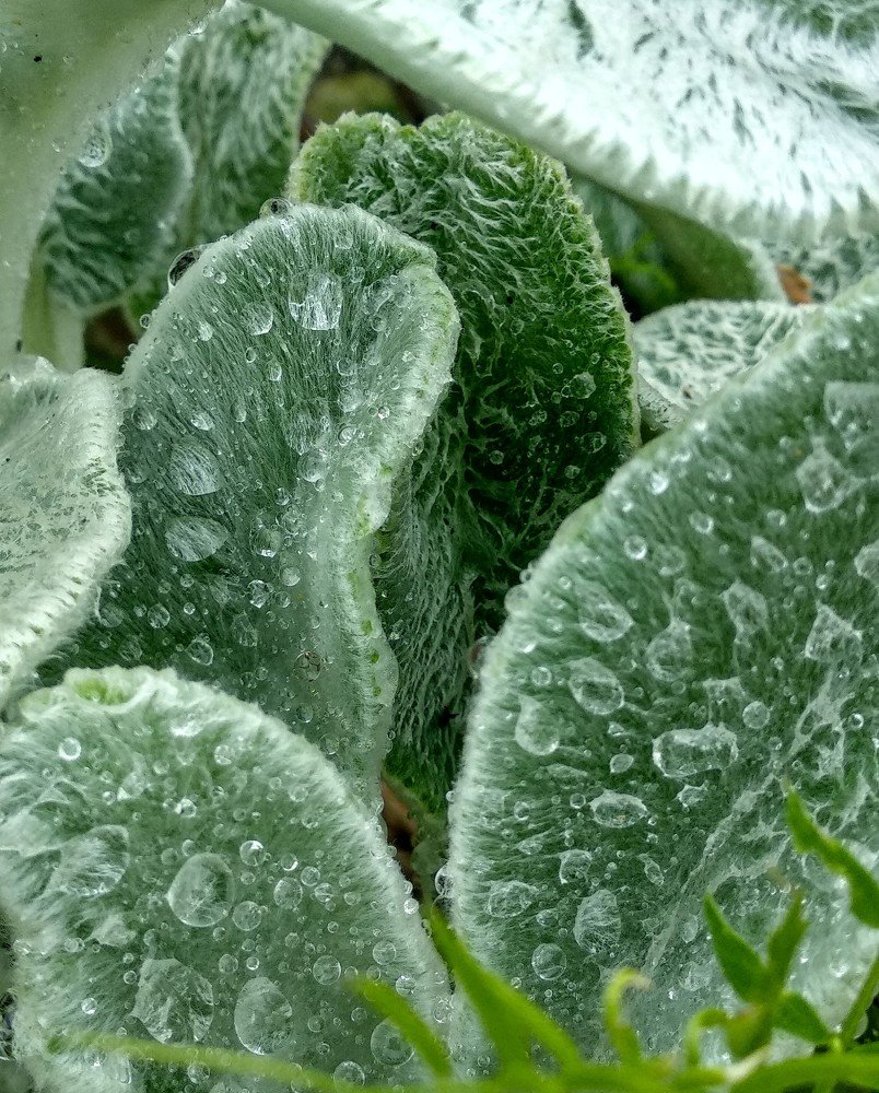 Photograph by Татьяна