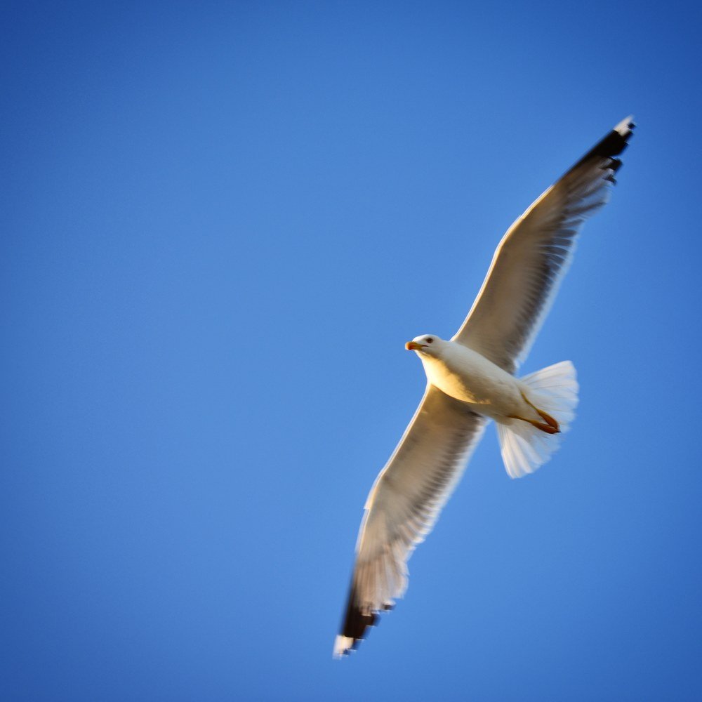 Photograph by Xristos Taxidis