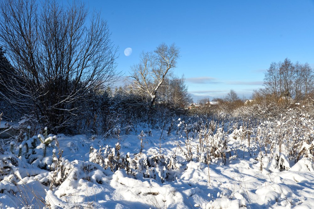 Зимнее утро