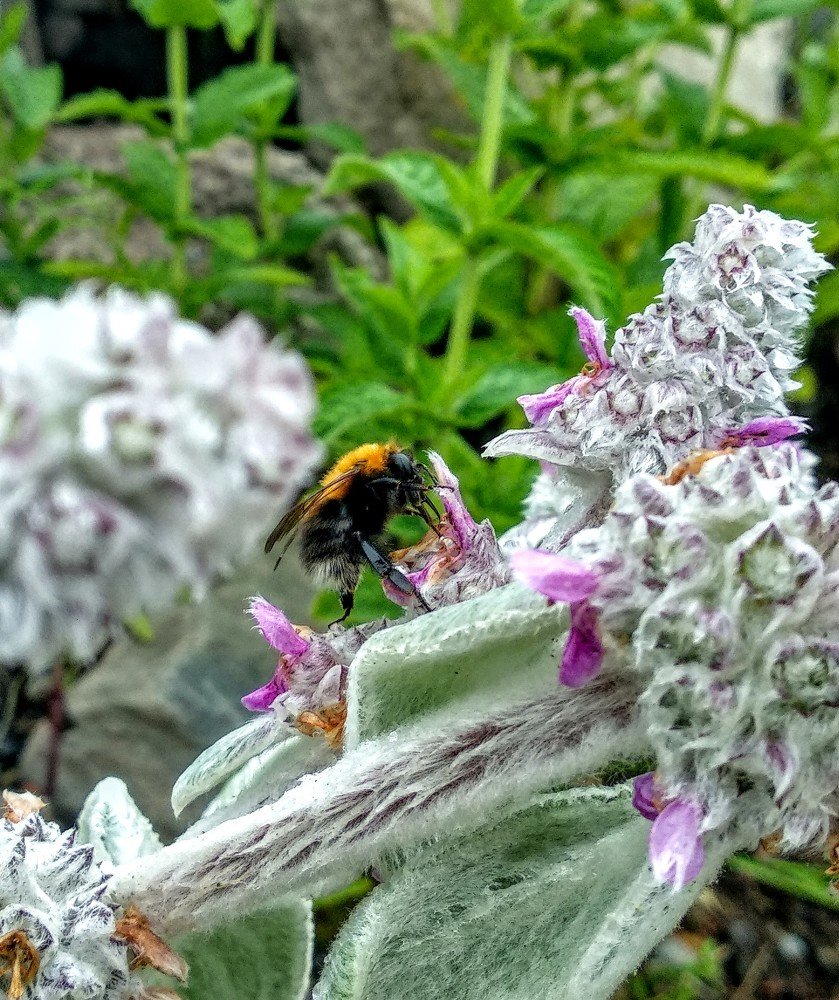 Photograph by Татьяна