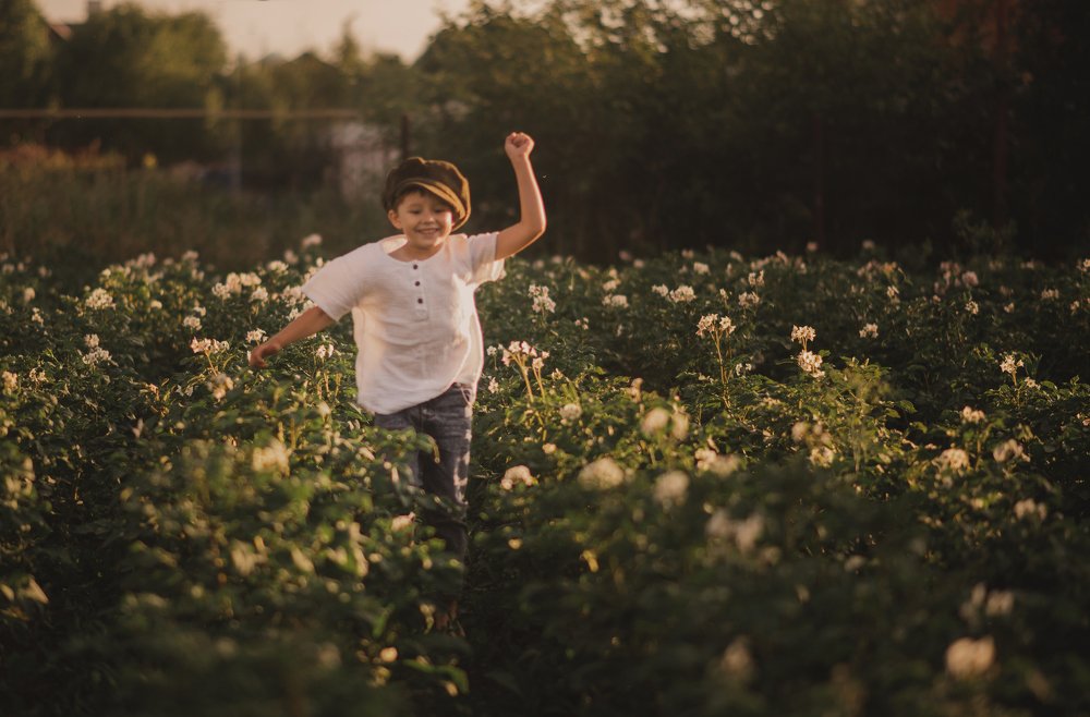 Хорошо в деревне летом