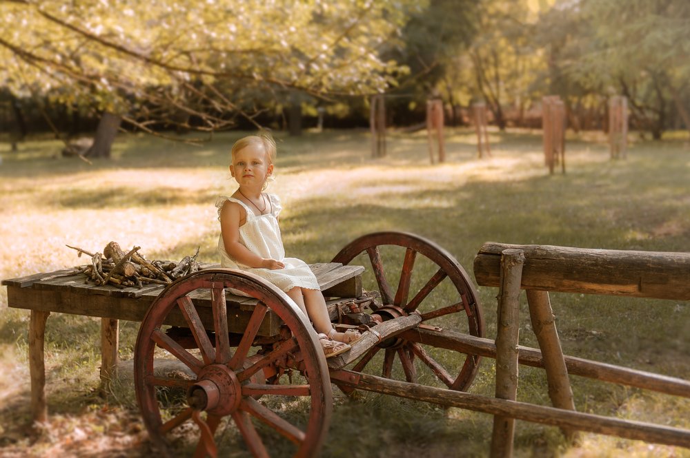 Повозчик без повозки