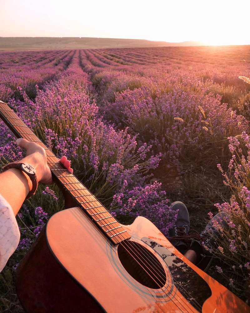 Лавандовый рассвет с гитарой