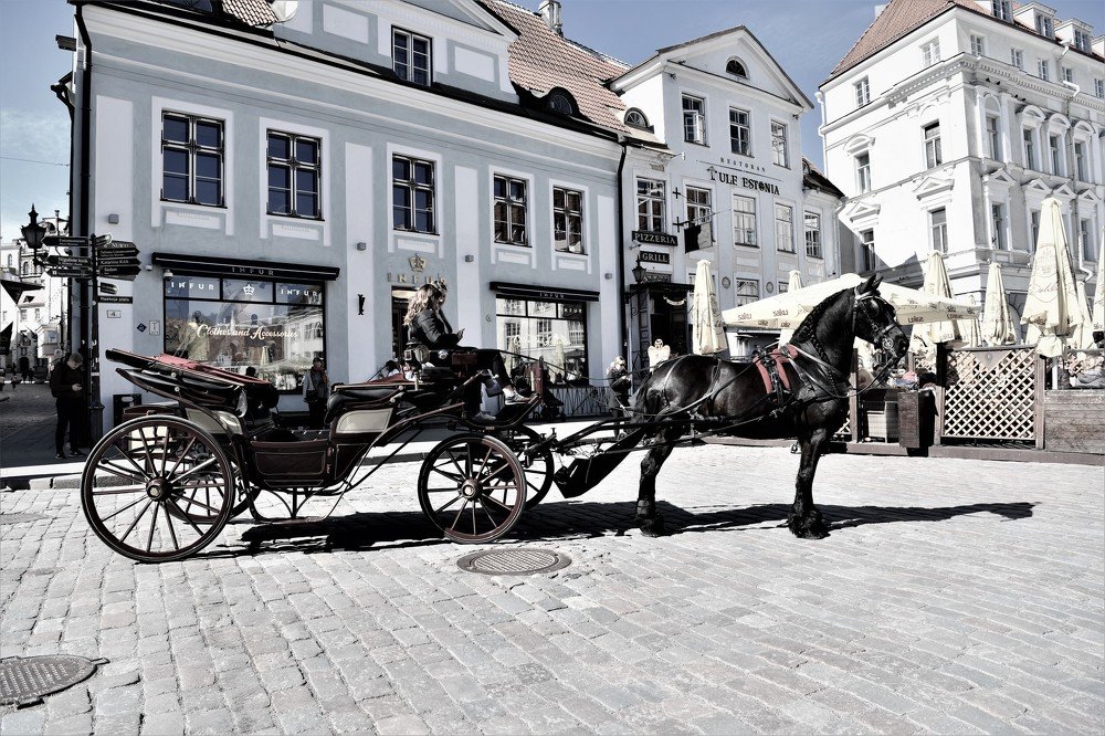 Женщины-извозчики