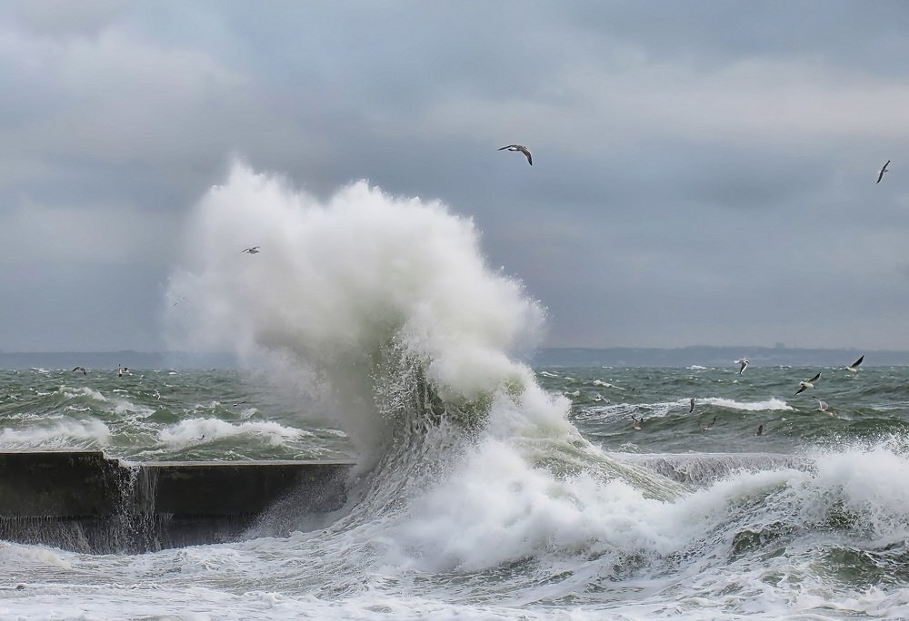 Сон в зимнюю ночь...