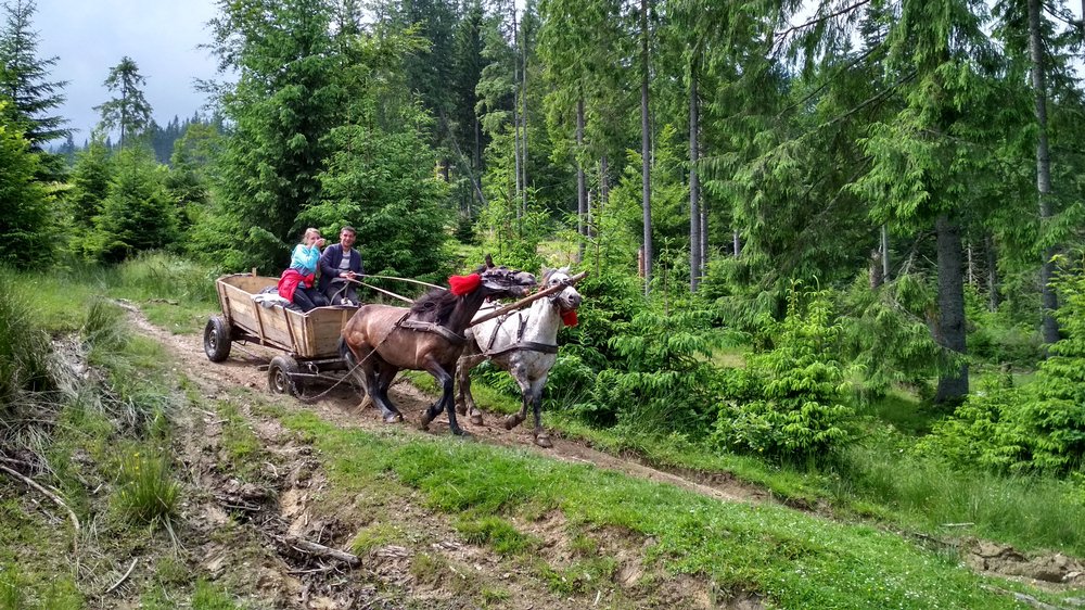 Эх, прокачу!