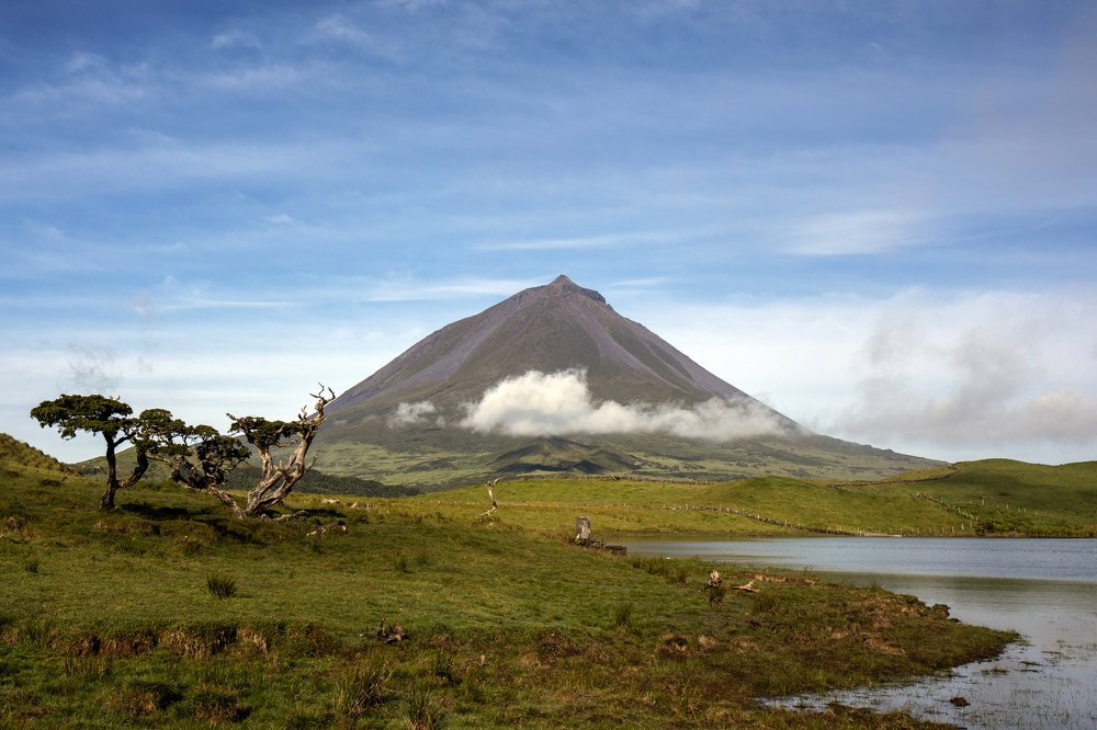 mount pico