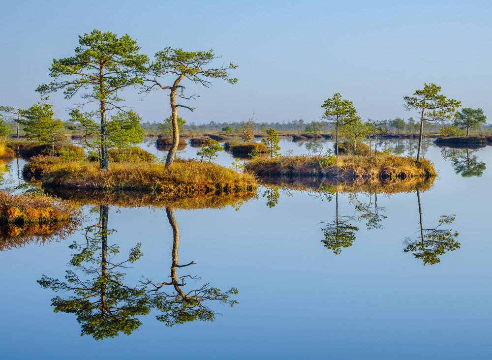 Photograph by Ковалевич Олег Степанович