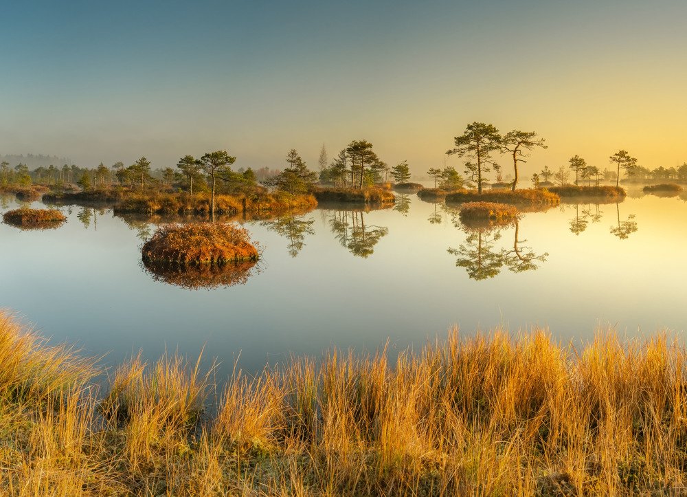 Photograph by Ковалевич Олег Степанович