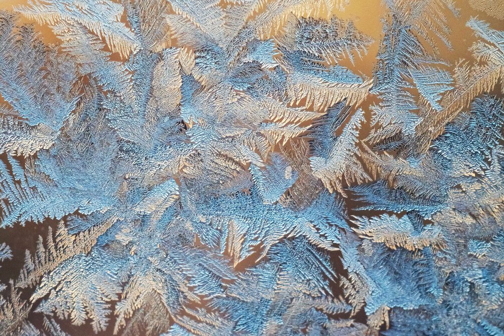 Морозный лес на окне