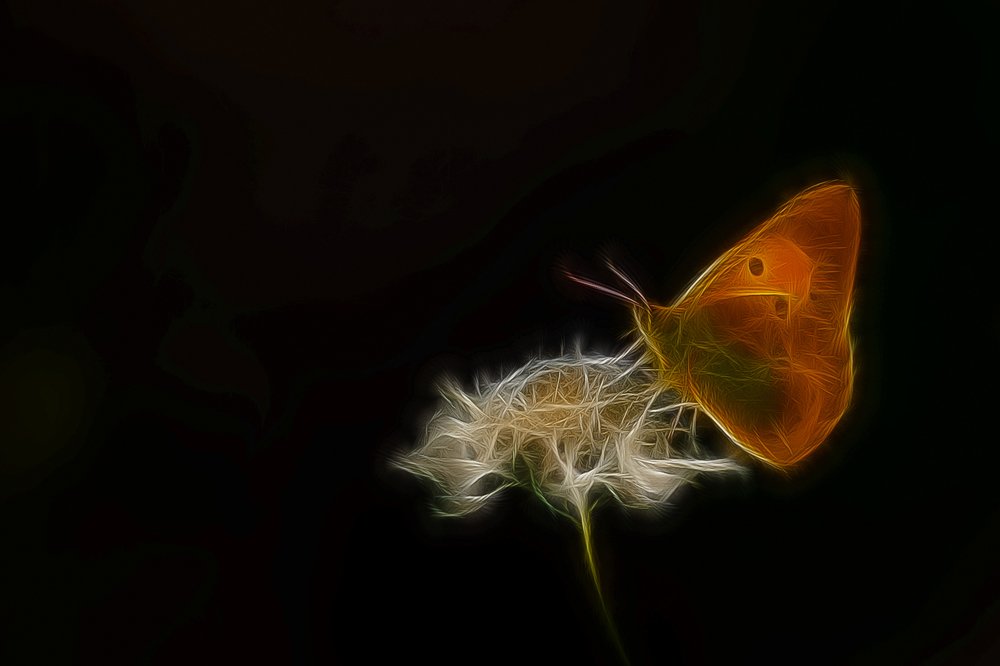 Ночь и мотылек.....